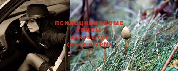 сатива Покров