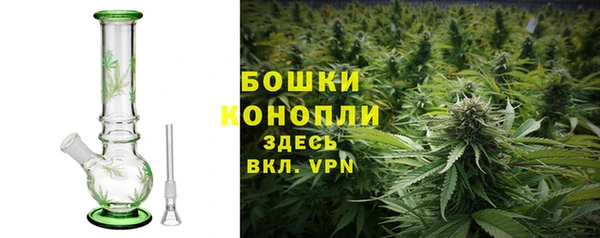 ГАЛЛЮЦИНОГЕННЫЕ ГРИБЫ Снежинск