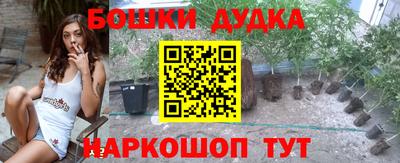 гашик Берёзовский