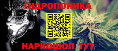 гашик Берёзовский