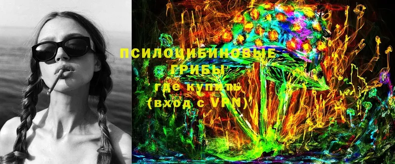 Галлюциногенные грибы Psilocybe  где купить   Елец 