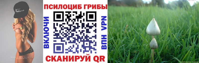 OMG ссылки  это Telegram  Елец  Галлюциногенные грибы ЛСД  как найти наркотики 