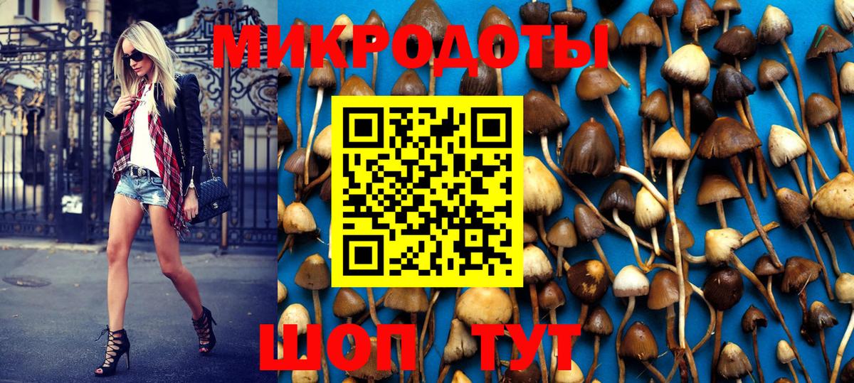 Галлюциногенные грибы Cubensis Елец