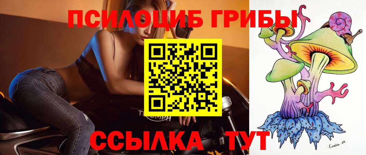 Псилоцибиновые грибы мицелий Елец