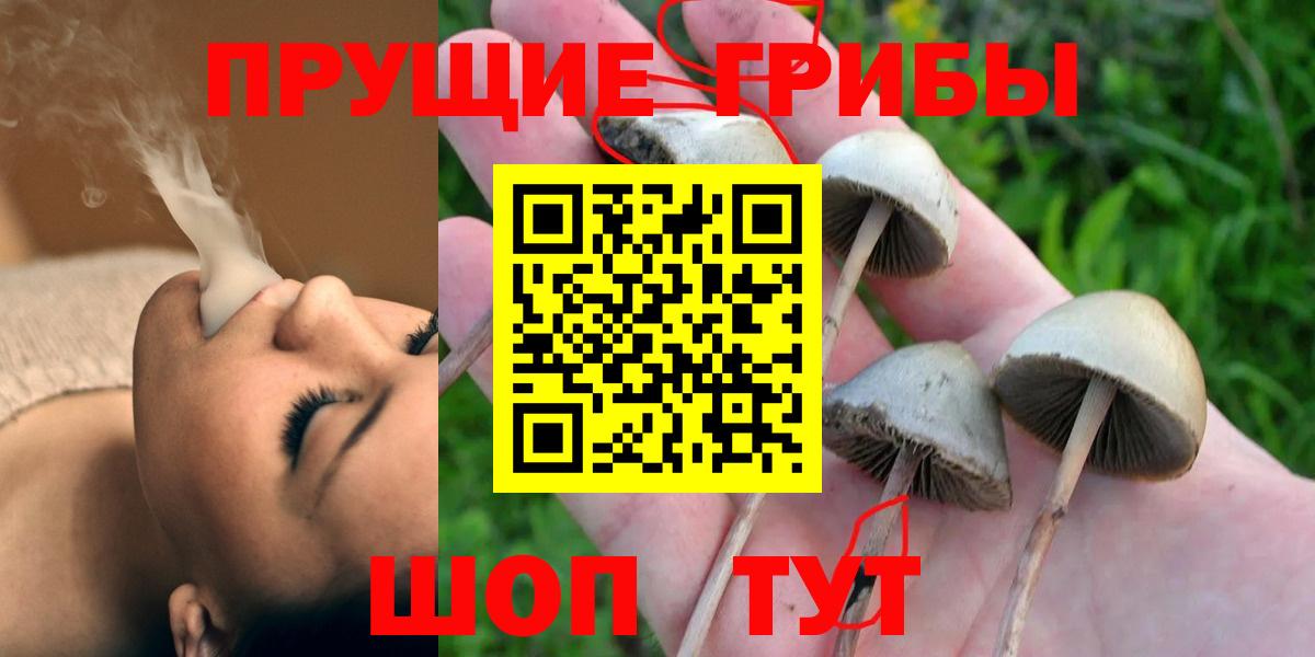 Елец  Галлюциногенные грибы Cubensis  закладки  Вход с VPN 